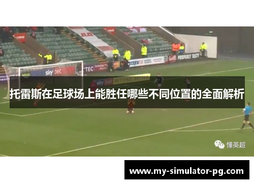 托雷斯在足球场上能胜任哪些不同位置的全面解析