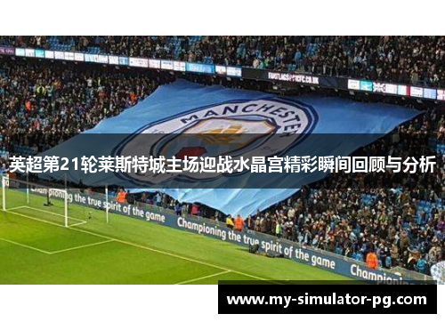 英超第21轮莱斯特城主场迎战水晶宫精彩瞬间回顾与分析