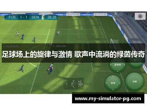 足球场上的旋律与激情 歌声中流淌的绿茵传奇