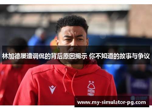 林加德屡遭调侃的背后原因揭示 你不知道的故事与争议