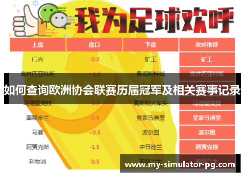 如何查询欧洲协会联赛历届冠军及相关赛事记录