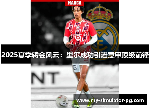 2025夏季转会风云：里尔成功引进意甲顶级前锋