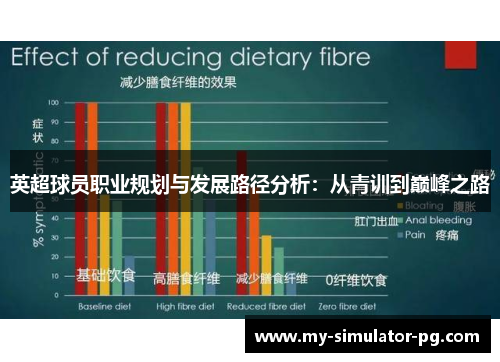 英超球员职业规划与发展路径分析：从青训到巅峰之路